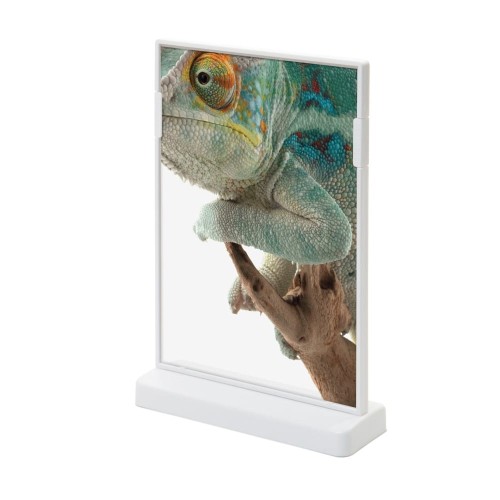 Stojak informacyjny na menu SCRITTO® A5 z podstawą T w kolorze białym dwustronny przeglądarka ekspozytor do postawienia na stół stojak na menu na informację na ulotkę na plakat